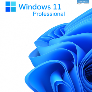 Win11Pro